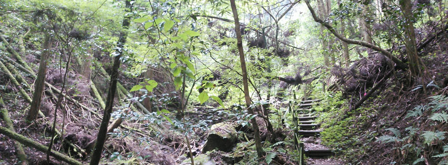Siesta Club Site